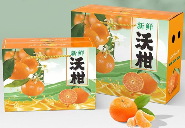 技術(shù)專(zhuān)業(yè)、量身定制